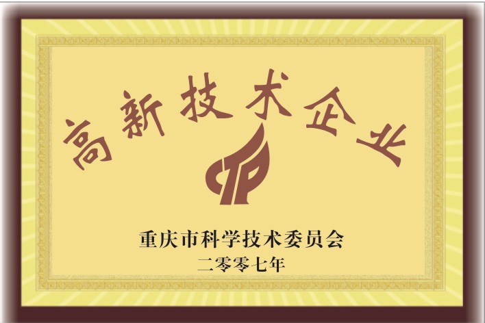 高新技術(shù)企業(yè)2007年